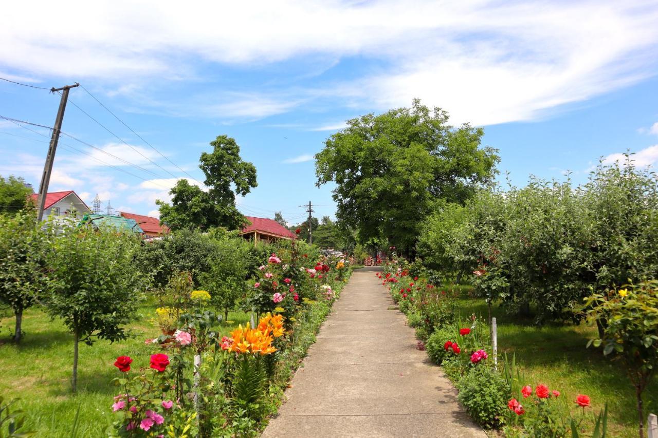 Accommodation Casa Luca 호레주 외부 사진